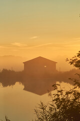 Old barn on lake shore on misty sunrise. High quality photo - 744685191