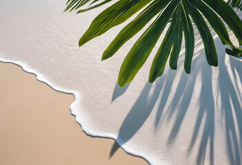 background with Palm leaf