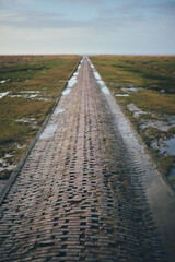 Brick Path into wadden sea at westerhever in germany. High quality photo - 744686349