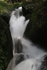 Obraz premium waterfall in the forest