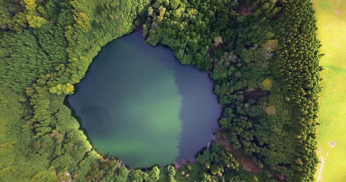 Top view aerial flight over the lake of round shape. Moving up, clear turquoise water of pond surrounded by green trees and plants. 