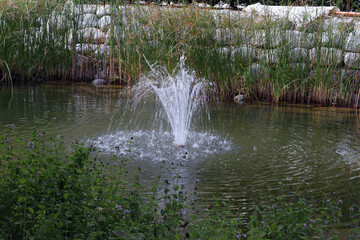 Fontäne, Springbrunnen, Wasserspiel, See, Weiher, 