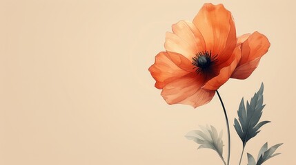 Red poppy flower isolated on beige background with copy space for text.