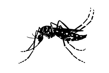 silhouette vector image image mosquito Aedes aegypti, dengue, chikungunya, zika virus proliferation epidemic health