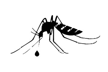 silhouette vector image image mosquito Aedes aegypti, dengue, chikungunya, zika virus proliferation epidemic health