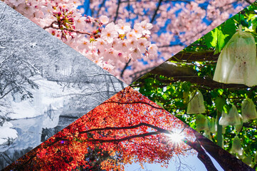 春夏秋冬のコラージュ背景画像	