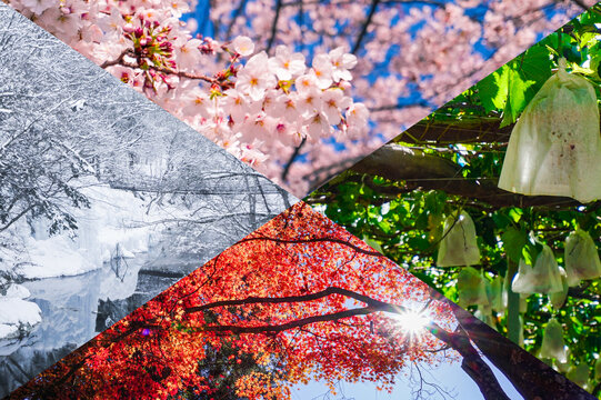 春夏秋冬のコラージュ背景画像	