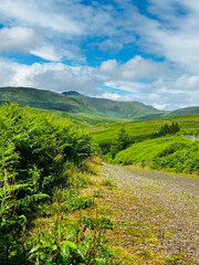 landscape with grass and blue sky