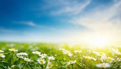 Fotobehang a fresh spring blue sunny sky background with blurred warm sunny glow © Nayeli