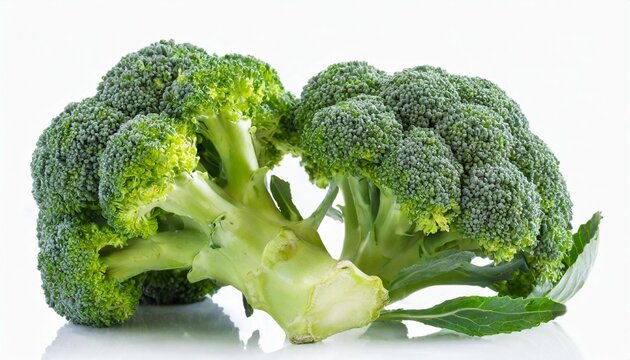 broccoli on white background