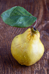 raw quince - 744709367