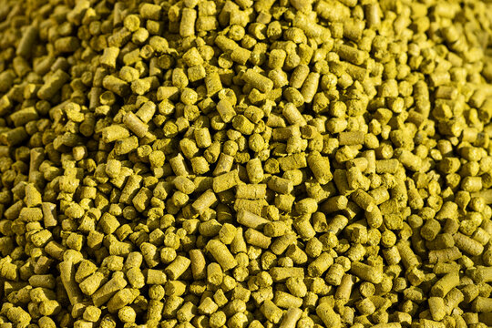 overview of hop pellets