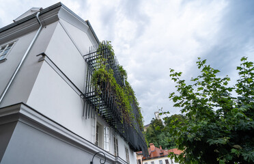 Vertical garden and living green walls design on buildings.