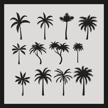 palm silhouette set Clipart on a hex color background