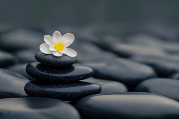 Fototapeta na wymiar Zen wellness and relaxation background with pebble stones and spa flowers