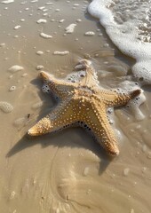 Coastal Wonder: Starfish Adrift on Sandy Beach with Foamy Waves