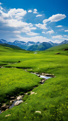 Fototapeta na wymiar The Splendid Serenity of Nature - Vibrant Grasslands Against Majestic Mountains and Blue Skies