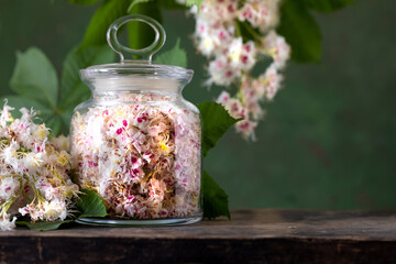 Chestnut flower extract, tincture of horse chestnut flowers in a jar.