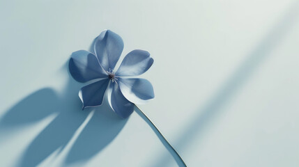 a single blue flower casts a shadow on a light blue background with a long shadow from the top of the flower.