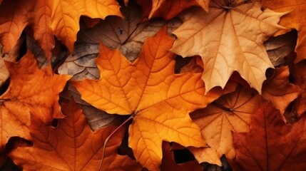 A pile of leaves scattered on the ground, suitable for autumn themes