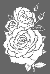 white graphic linear drawing of rose flower on gray background, design