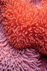 Detailed shot of an orange sea anemone, perfect for marine biology projects