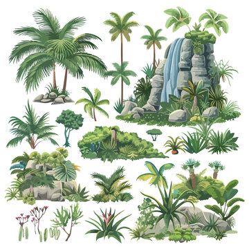 Tropical Jungle Landscape Design Elements and Object