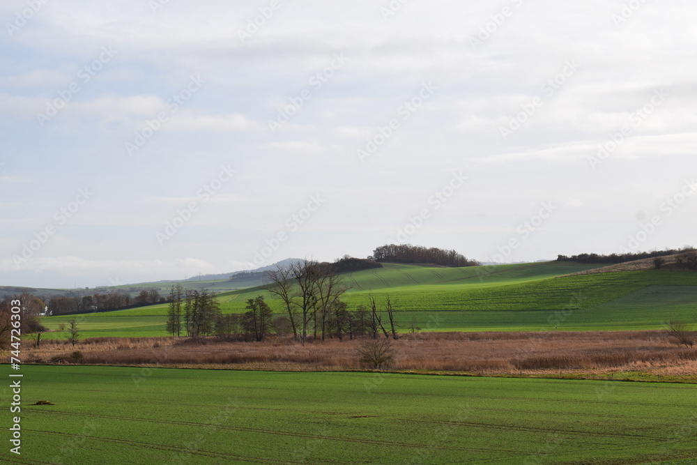 Wall mural winter green EIfel landscape