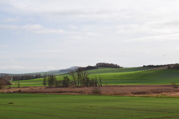 Fototapeta na wymiar winter green EIfel landscape