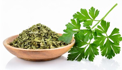 dried parsley isolated and fresh leaf on white set