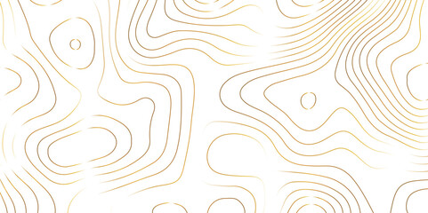 Fototapeta na wymiar Abstract pattern with lines Topographic map. Geographic mountain relief . Modern design with white background golden line wavy pattern design. Background for desktop, topology, digital art .