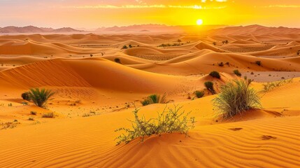 Fototapeta na wymiar Breathtaking sahara desert panorama at sunset with golden sand dunes wide banner view