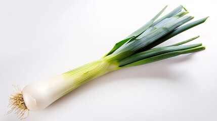 a studio photo of a single, fresh Leek vegetable, isolated on a clear white background