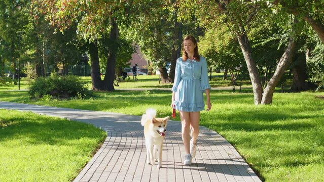 Beautiful girl in dress walks dog on leash in urban park. Young woman going with Akita Inu along paved path surrounded by grass, trees. Caucasian lady with pet spend time on city street in summer