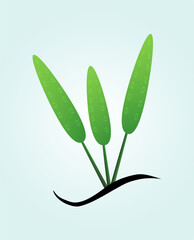 Green plant with long leaves. Leaves with grooves. Vector illustration EPS10.