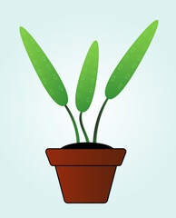Green plant in a flower pot. The leaves are green with grooves. Vector illustration EPS10.
