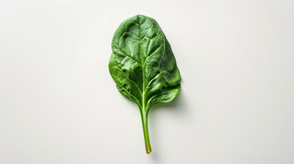 a studio photo of a single, fresh vegetable, isolated on a clear white background