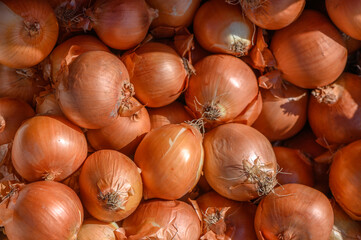 onions in a box near the village store 2