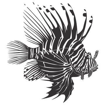 recommend clip art: Silhouette lionfish black color only full body 