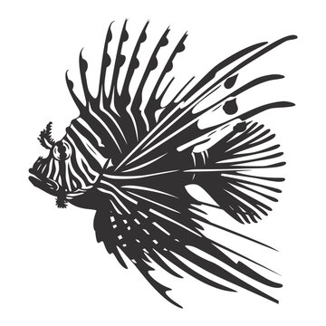 recommend clip art: Silhouette lionfish black color only full body 