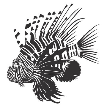 recommend clip art: Silhouette lionfish black color only full body 