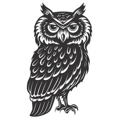 Naklejka premium Silhouette owl animal black color only full body 