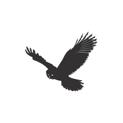 Obraz premium Silhouette owl animal fly black color only full body 