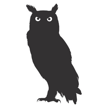 recommend clip art: Silhouette owl animal black color only full body 