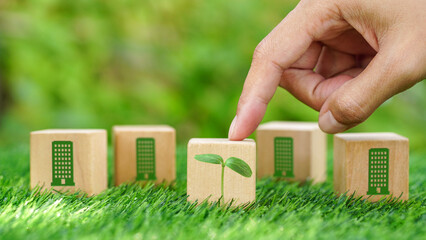 Hands point on growing tree on wooden cube with green building symbols on blocks over grass...