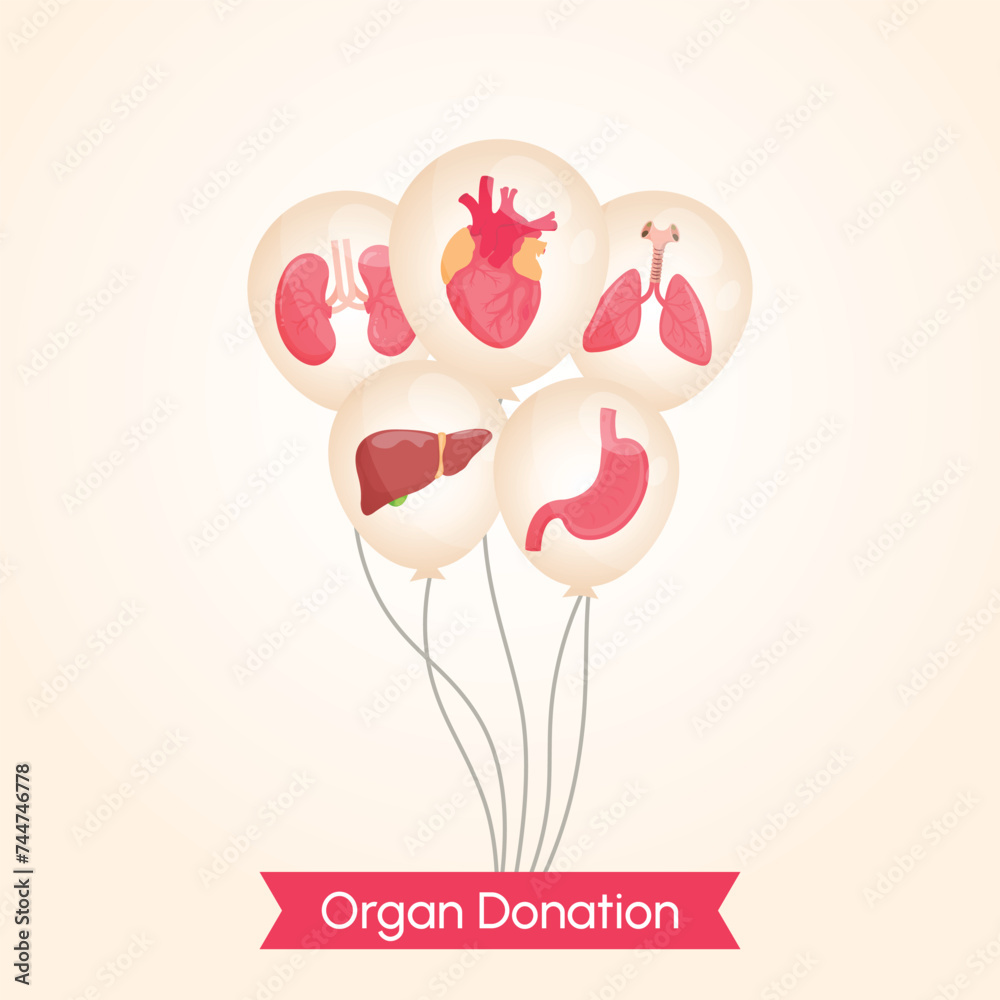 Wall mural Human Organs on Balloons, World Organ donation day colorful vector illustration