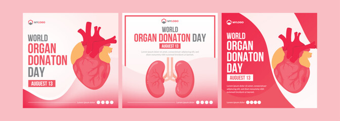 Set of Banners for World Organ donation day social media post. Human Internal Organs Flat colorful vector illustration - obrazy, fototapety, plakaty