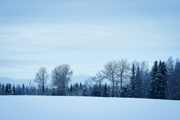 Images from the Boverbrurunden skiing round trip through the cultural landscape of Toten, Norway, in winter.