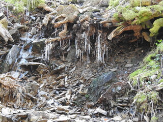 Icicle formation in early spring at the higher elevations of the Great Smoky Mountains National Park, Tennessee.