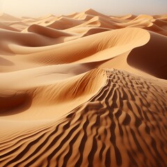 Fototapeta na wymiar Wind on sand dunes in the desert 